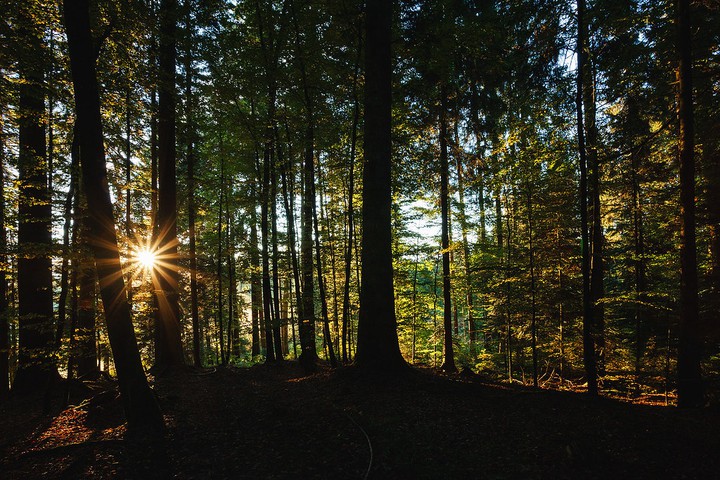 nature