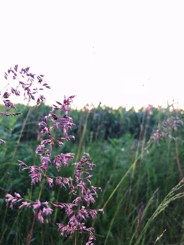 красота