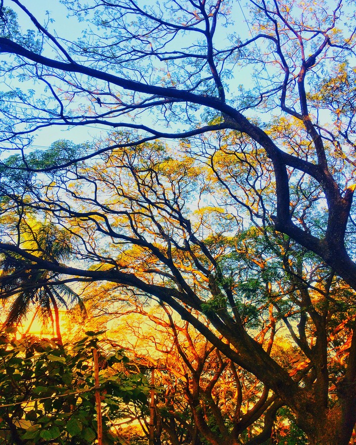 love with nature