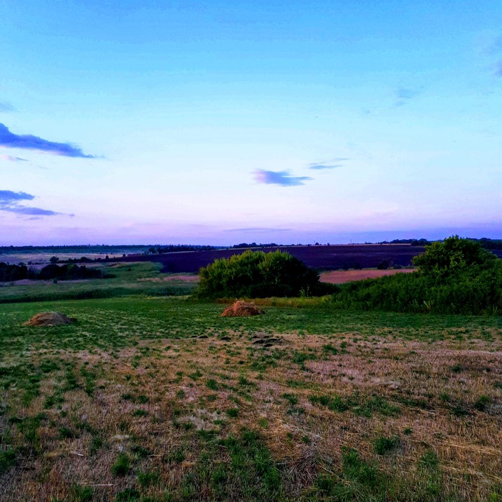 Summer