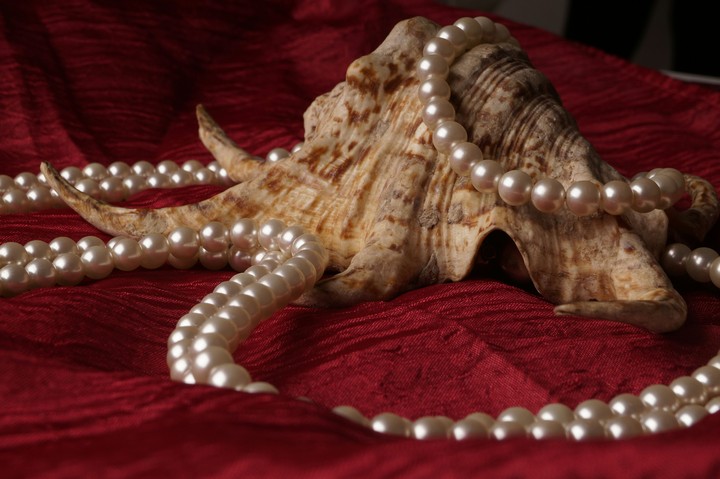 conchiglia e perle