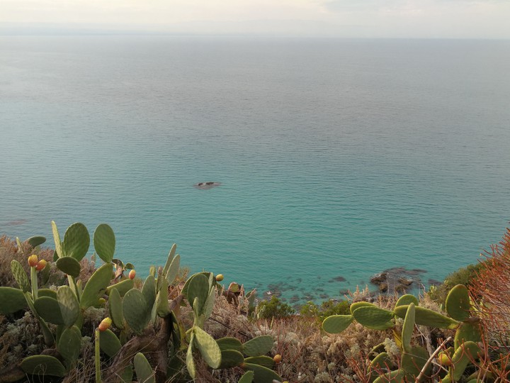 Capo Vaticano
