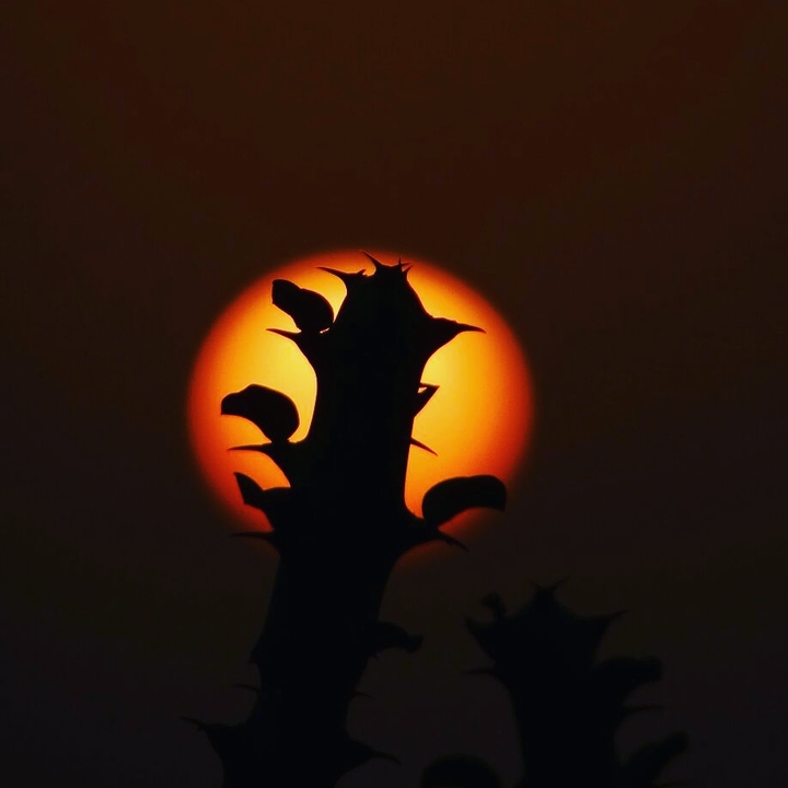 Beautiful sunset 