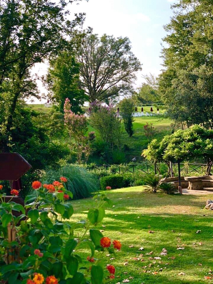 #garden