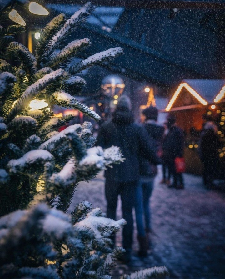 Winter