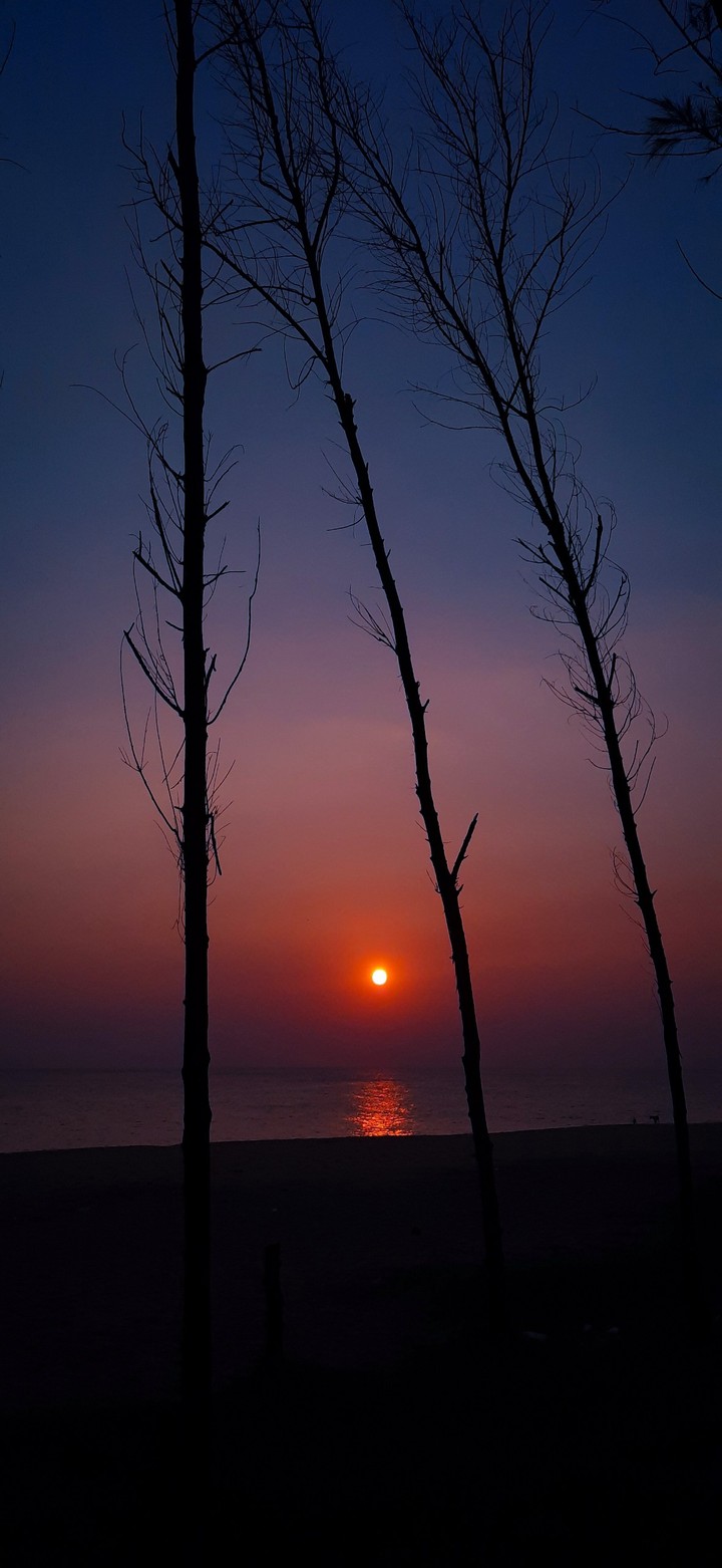 The ocean & dusk