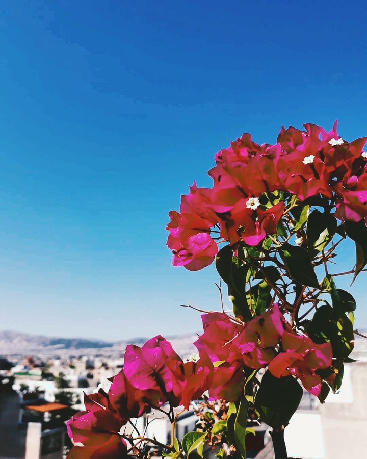 lovely colours