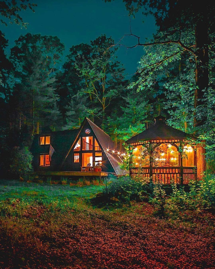 Cozy forest house.