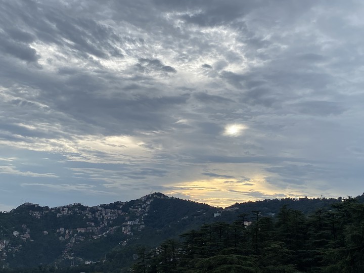 Shimla Dairy