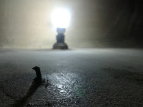 The Light