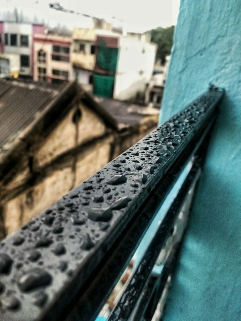 Rain