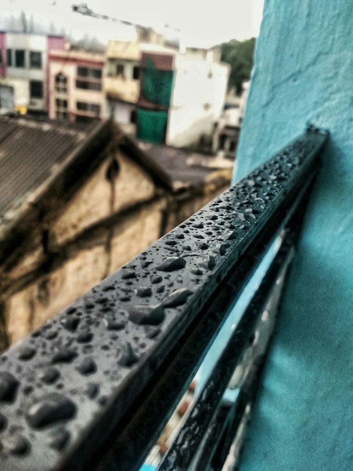 Rain