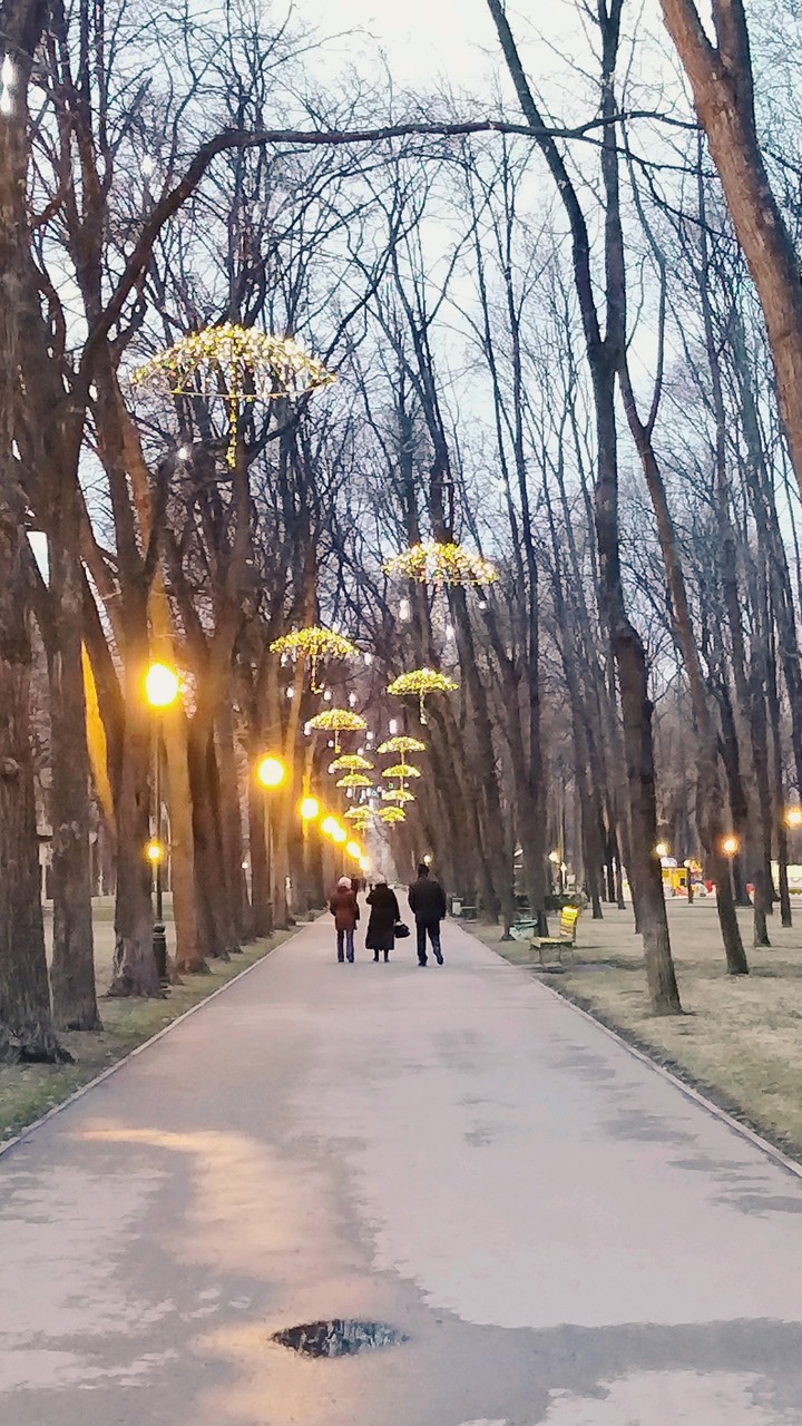 вечерняя прогулка