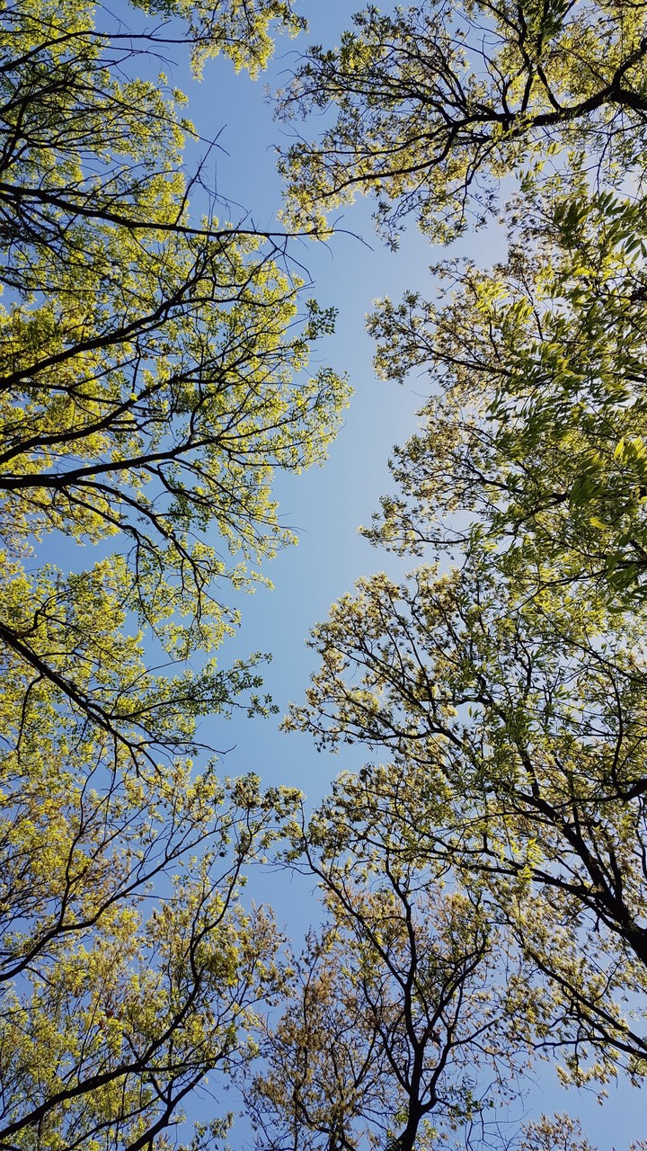 봄의 기운