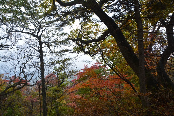 오대산이미지