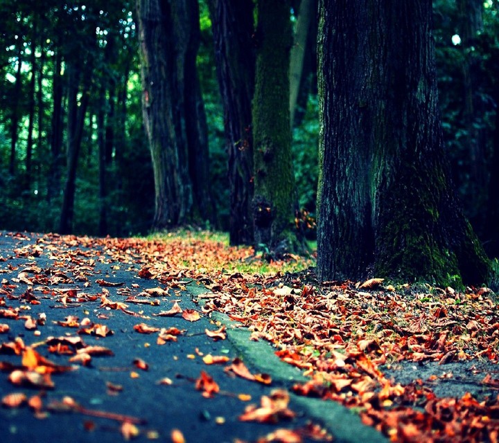 Autumn Albania