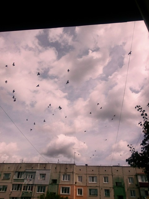 sky