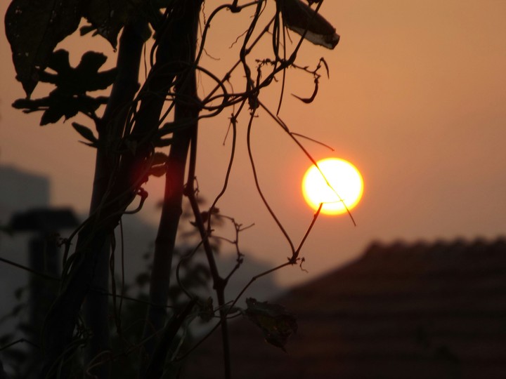 sunset