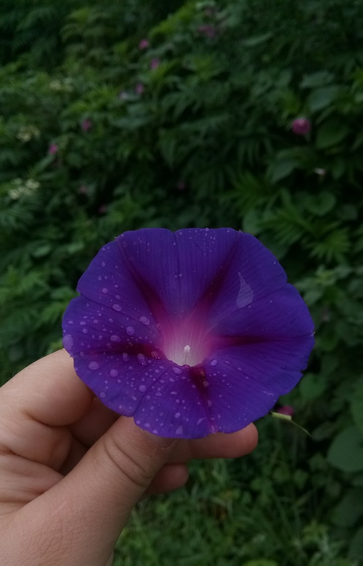 ❤