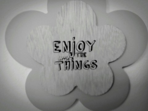 Enjoy The Little Things