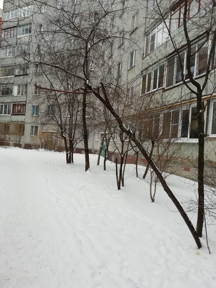 зима
