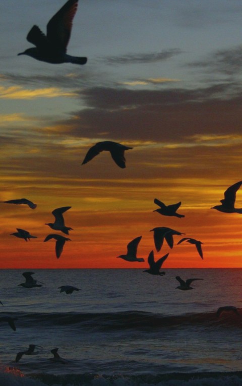 pôr do sol
