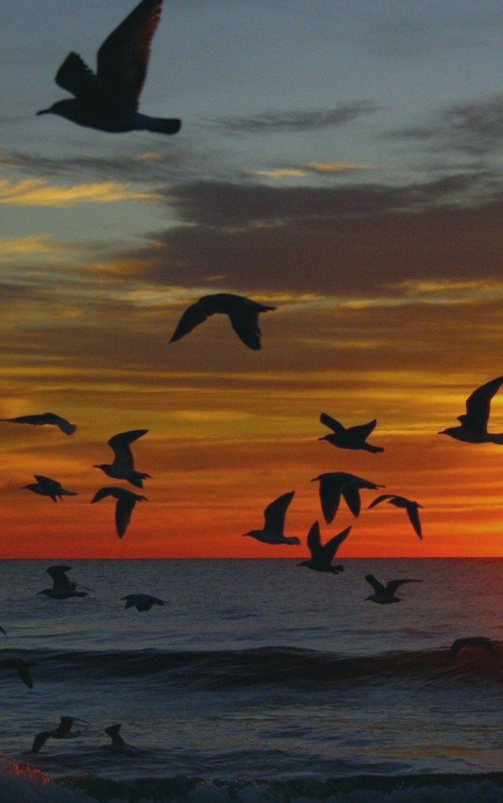 pôr do sol