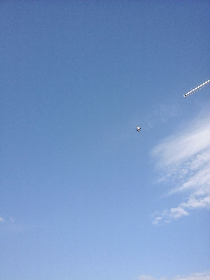 Sky
