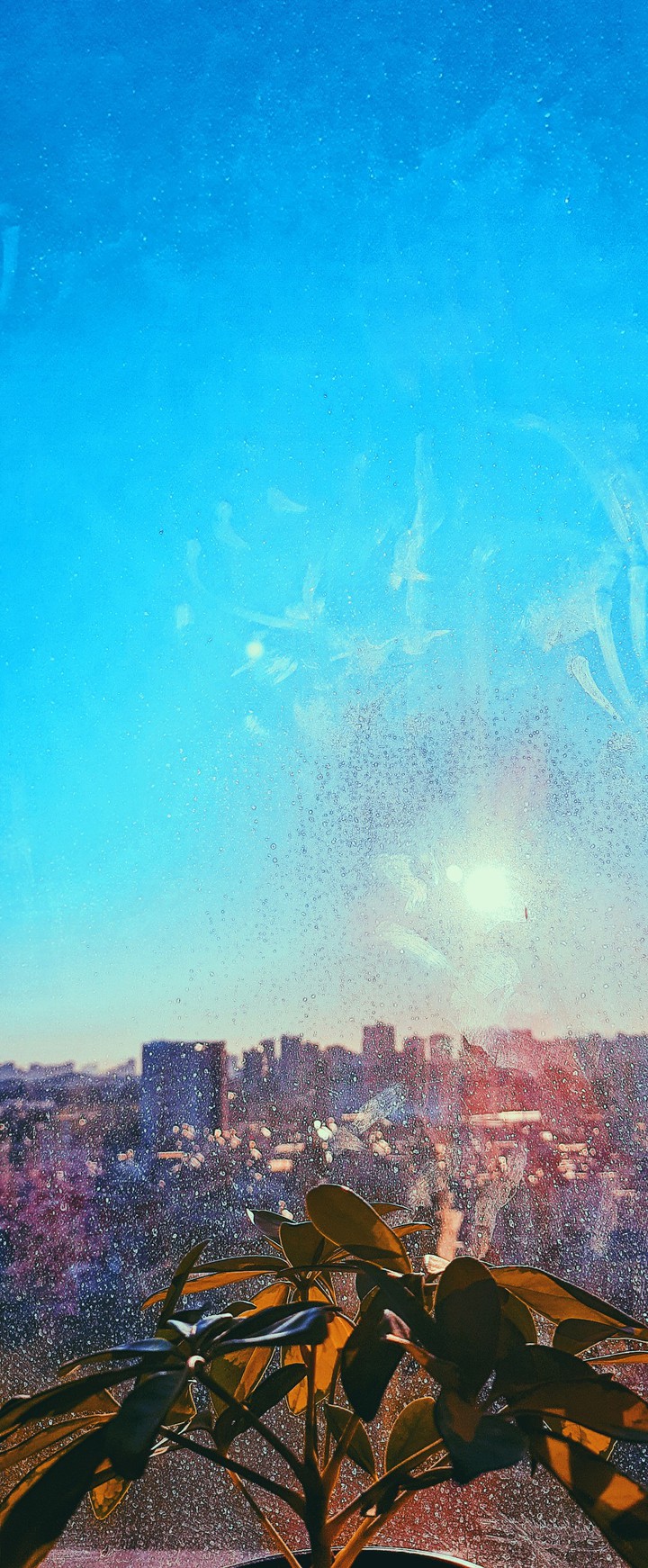 sunny city after the rain