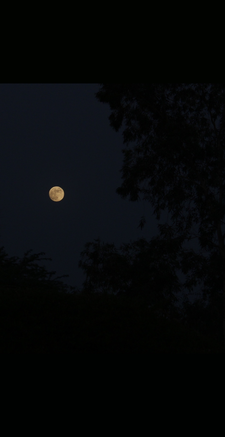 moon