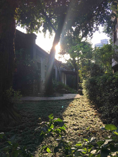 Sunny