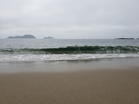 wave