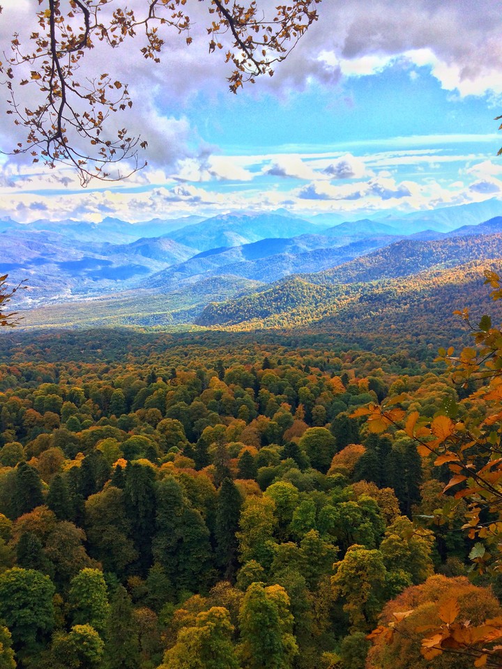 Autumn