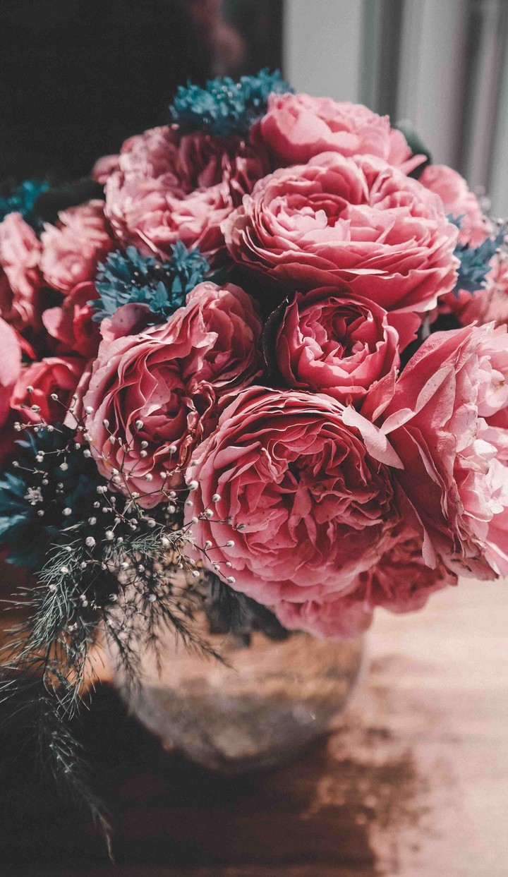 flowers