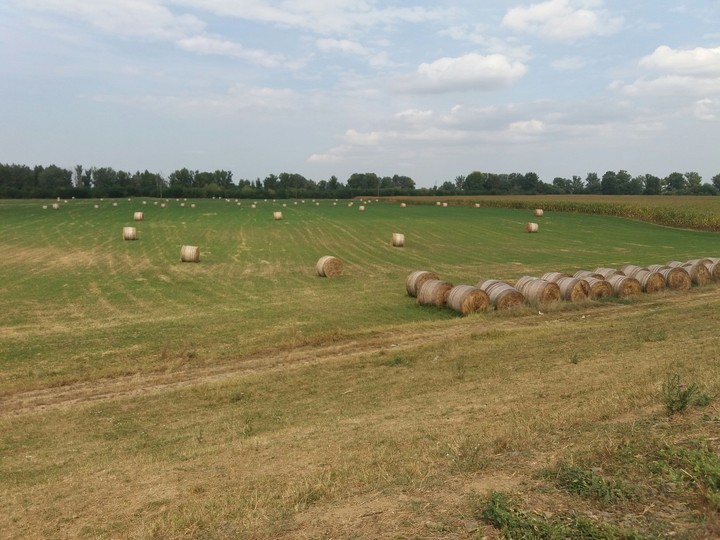 The field with bales !