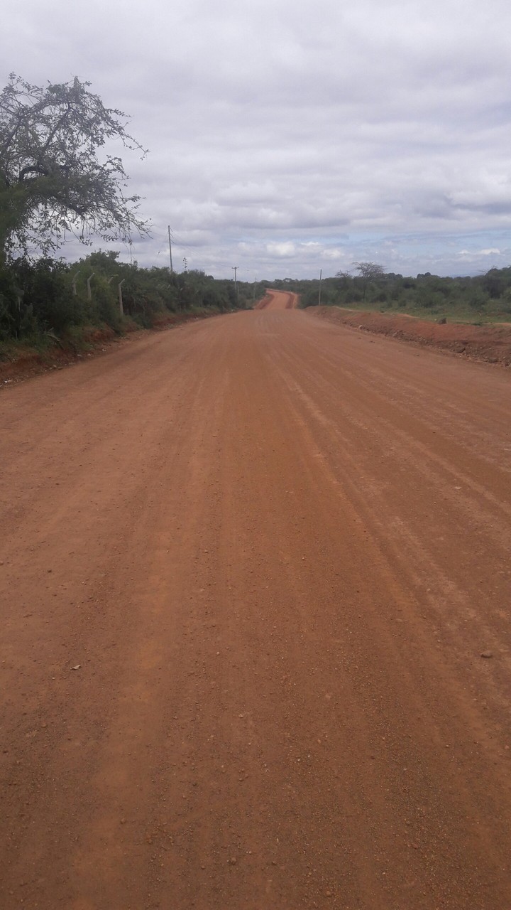 Solitude Road.