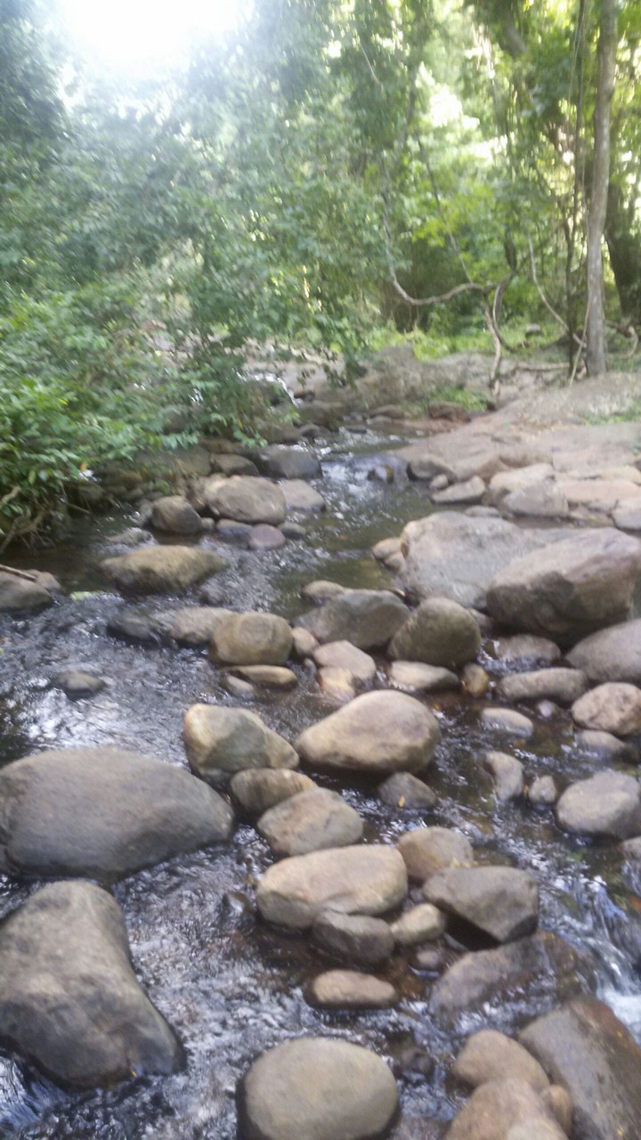 stream