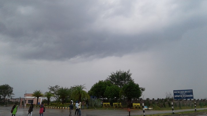 view