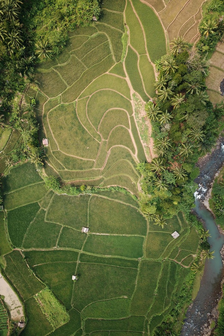 birds view