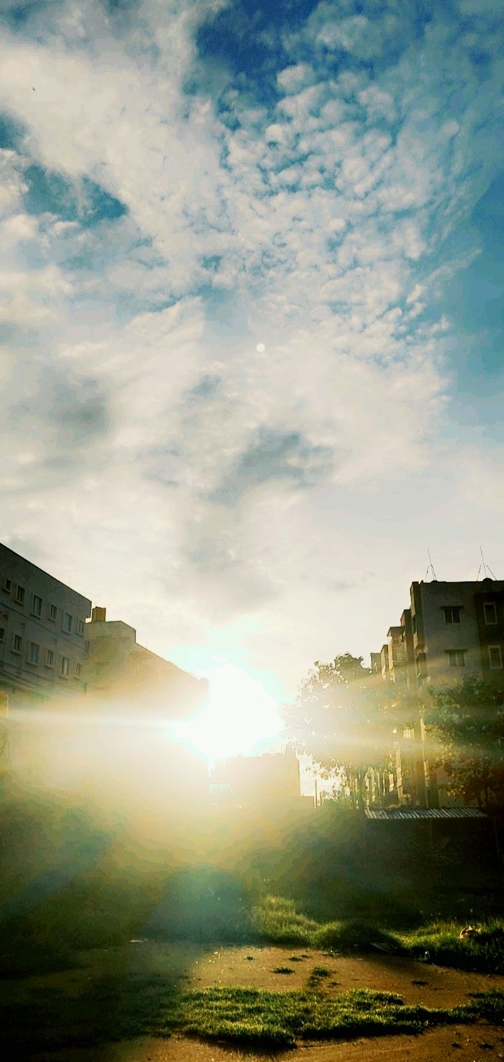 Rising Shine