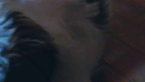 puppy love