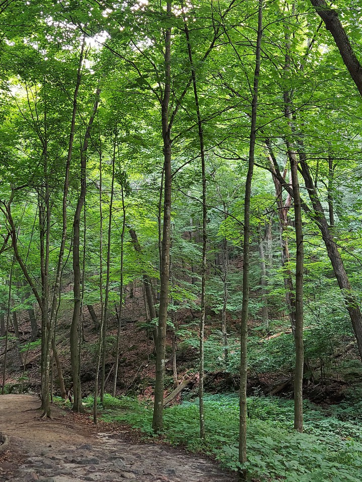 Perfrey State Park