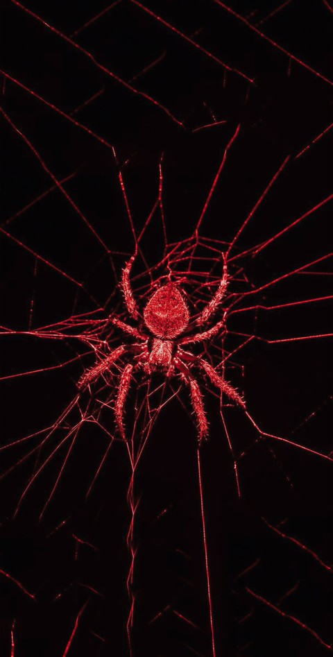 RED SPIDER