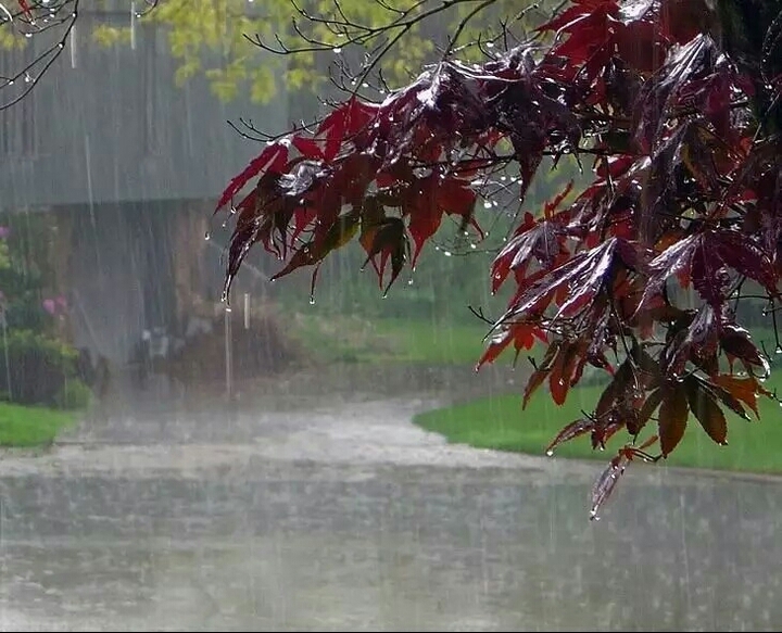 rainy