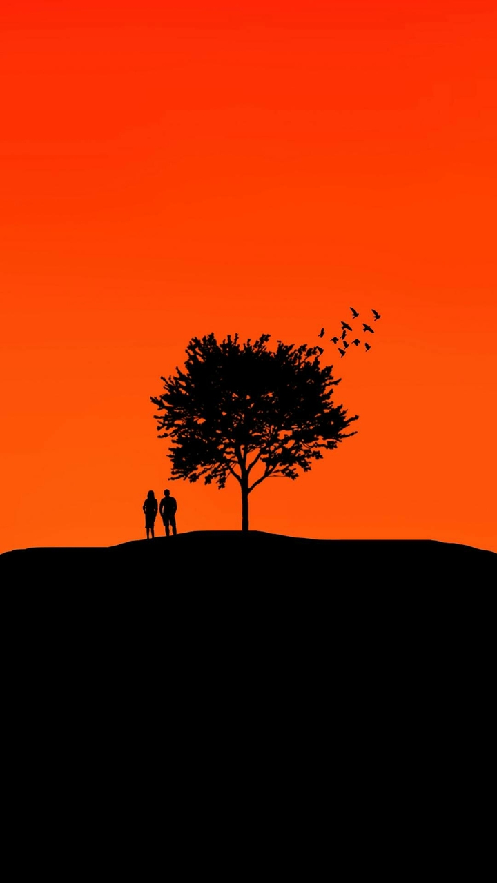 MINIMAL TREE