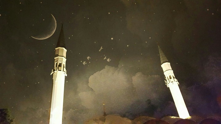 Camii