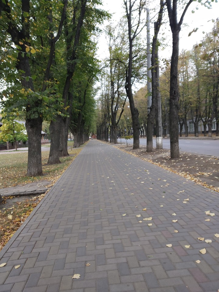 Городская аллея осенью