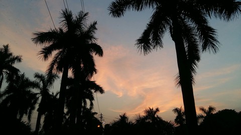 Duskyy