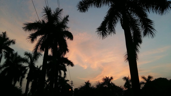 Duskyy