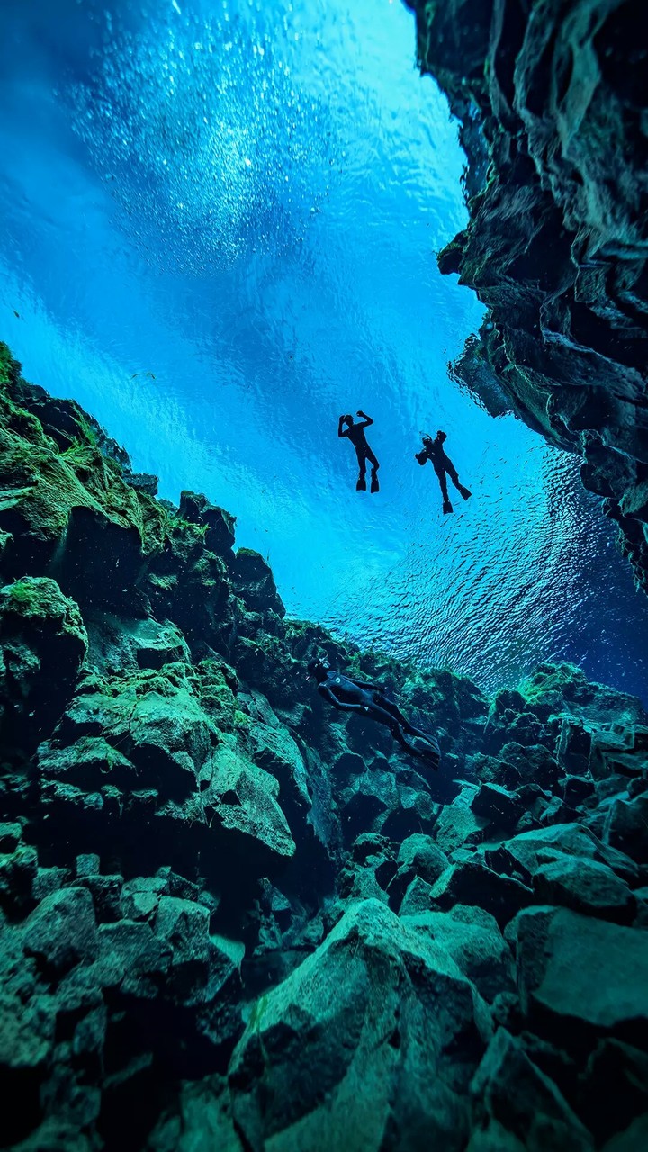 Deep Blue Sea